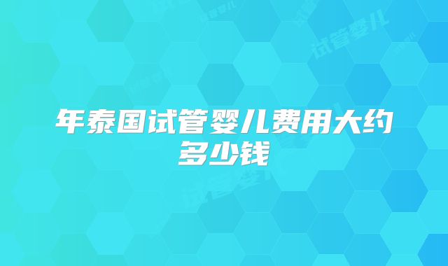 年泰国试管婴儿费用大约多少钱