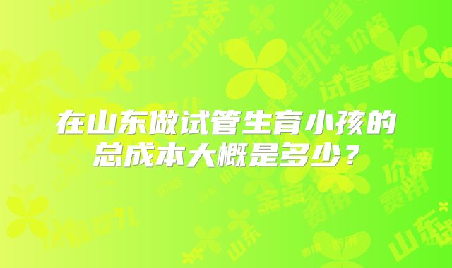 在山东做试管生育小孩的总成本大概是多少？