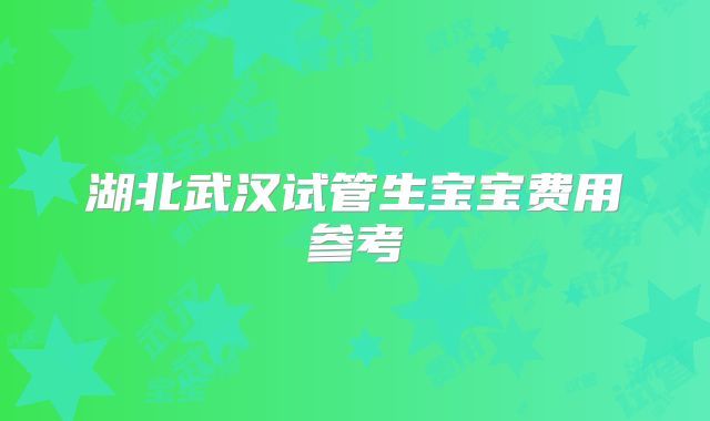 湖北武汉试管生宝宝费用参考