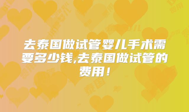 去泰国做试管婴儿手术需要多少钱,去泰国做试管的费用！