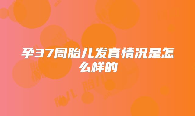 孕37周胎儿发育情况是怎么样的