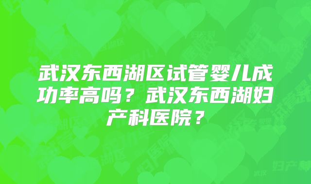 武汉东西湖区试管婴儿成功率高吗?武汉东西湖妇产科医院?