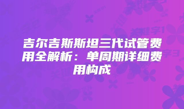 吉尔吉斯斯坦三代试管费用全解析：单周期详细费用构成