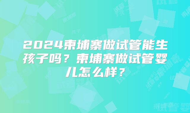 2024柬埔寨做试管能生孩子吗?柬埔寨做试管婴儿怎么样?