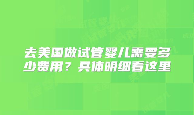 去美国做试管婴儿需要多少费用？具体明细看这里