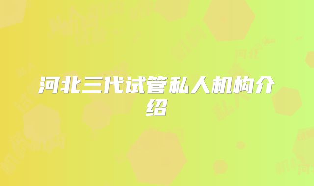 河北三代试管私人机构介绍