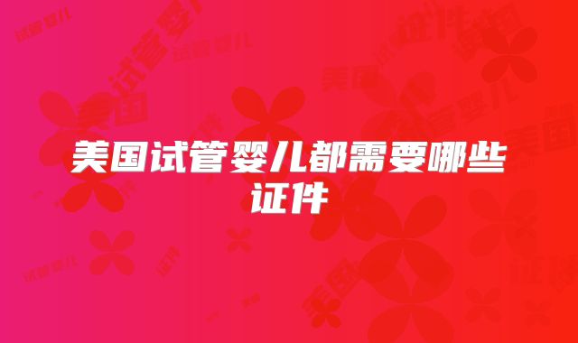 美国试管婴儿都需要哪些证件