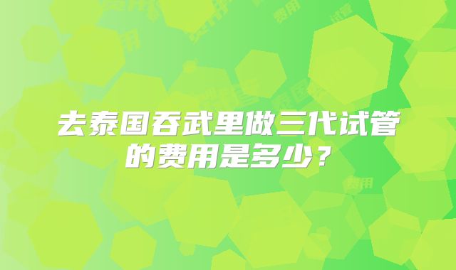 去泰国吞武里做三代试管的费用是多少?
