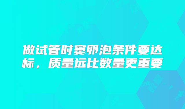 做试管时窦卵泡条件要达标,质量远比数量更重要