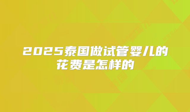 2025泰国做试管婴儿的花费是怎样的