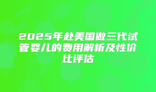 2025年赴美国做三代试管婴儿的费用解析及性价比评估