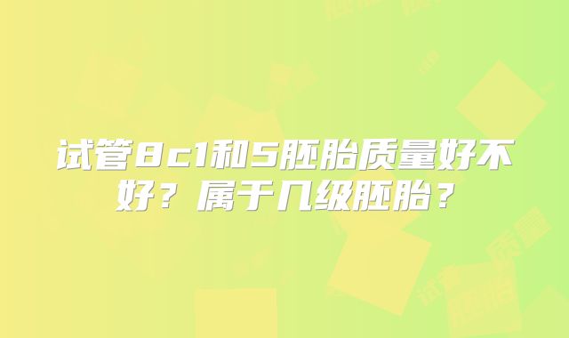 试管8c1和5胚胎质量好不好？属于几级胚胎？