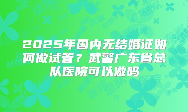 2025年国内无结婚证如何做试管？武警广东省总队医院可以做吗
