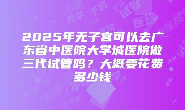 2025年无子宫可以去广东省中医院大学城医院做三代试管吗？大概要花费多少钱