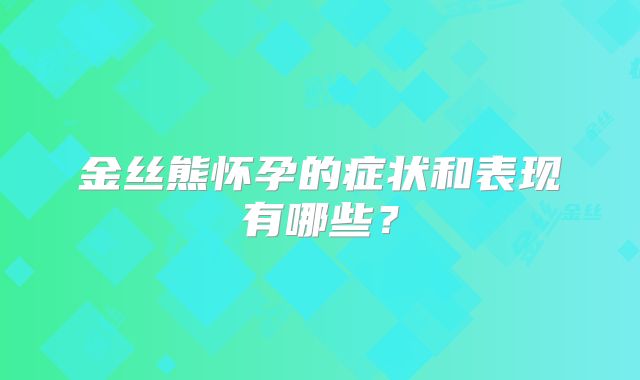金丝熊怀孕的症状和表现有哪些？