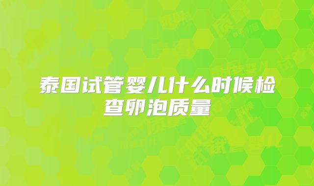泰国试管婴儿什么时候检查卵泡质量