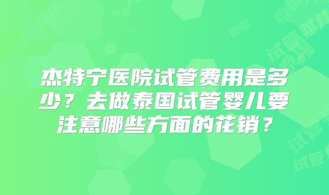 杰特宁医院试管费用是多少？去做泰国试管婴儿要注意哪些方面的花销？