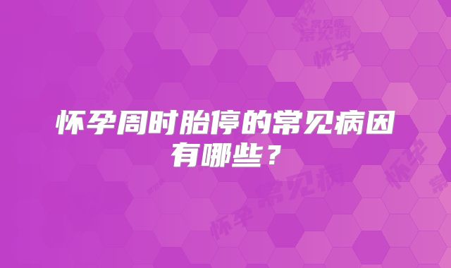 怀孕周时胎停的常见病因有哪些?
