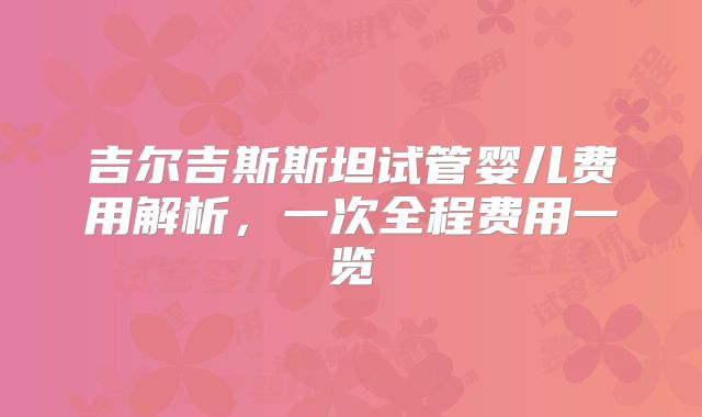 吉尔吉斯斯坦试管婴儿费用解析,一次全程费用一览