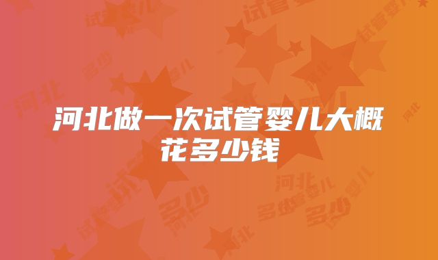 河北做一次试管婴儿大概花多少钱