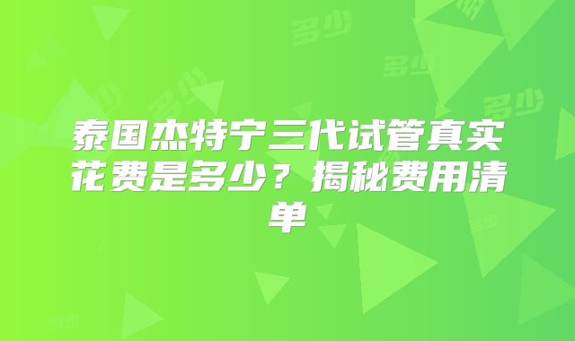 泰国杰特宁三代试管真实花费是多少？揭秘费用清单