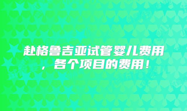 赴格鲁吉亚试管婴儿费用，各个项目的费用！
