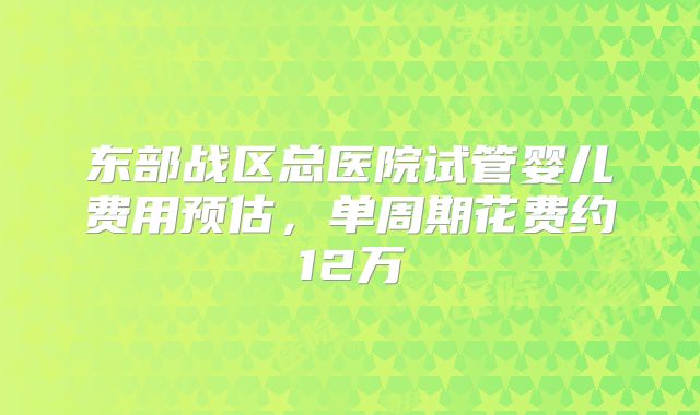 东部战区总医院试管婴儿费用预估，单周期花费约12万