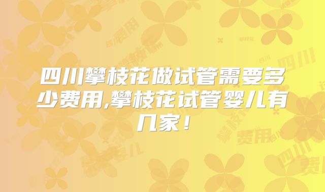 四川攀枝花做试管需要多少费用,攀枝花试管婴儿有几家！