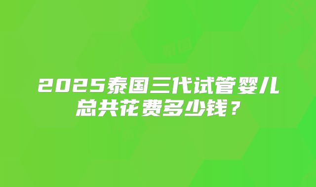 2025泰国三代试管婴儿总共花费多少钱？