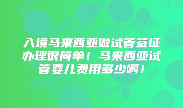 入境马来西亚做试管签证办理很简单！马来西亚试管婴儿费用多少啊！
