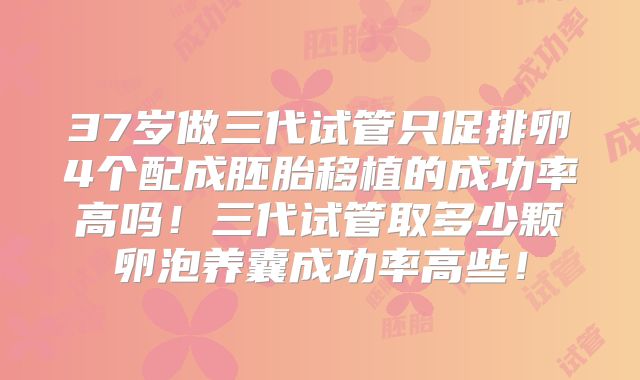 37岁做三代试管只促排卵4个配成胚胎移植的成功率高吗！三代试管取多少颗卵泡养囊成功率高些！