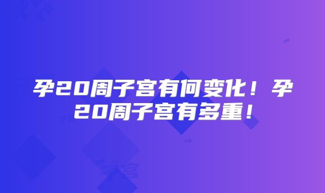 孕20周子宫有何变化！孕20周子宫有多重！