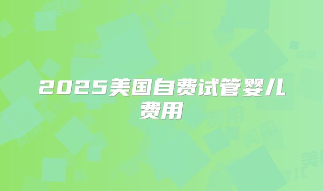 2025美国自费试管婴儿费用