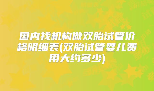 国内找机构做双胎试管价格明细表(双胎试管婴儿费用大约多少)