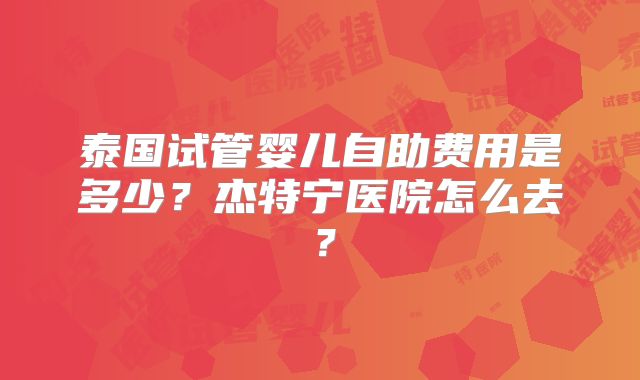 泰国试管婴儿自助费用是多少？杰特宁医院怎么去？