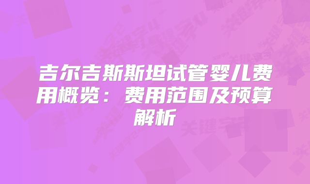 吉尔吉斯斯坦试管婴儿费用概览:费用范围及预算解析