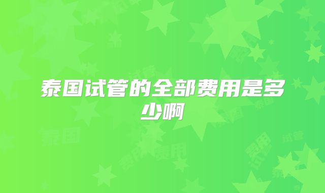 泰国试管的全部费用是多少啊