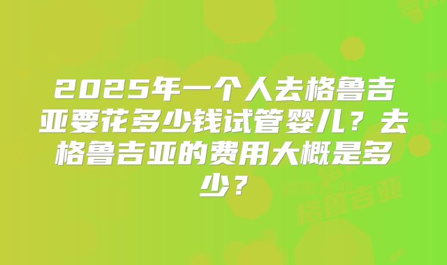 2025年一个人去格鲁吉亚要花多少钱试管婴儿？去格鲁吉亚的费用大概是多少？