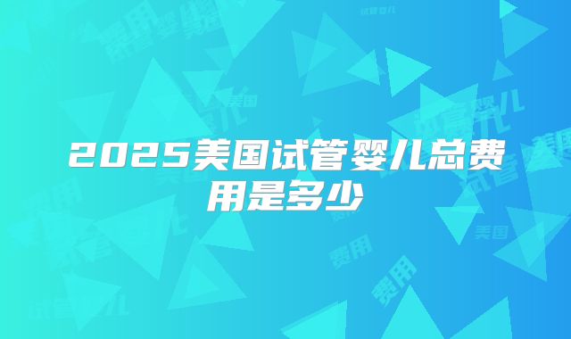 2025美国试管婴儿总费用是多少