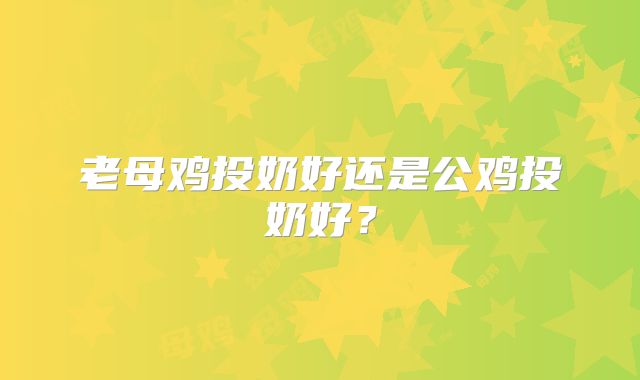 老母鸡投奶好还是公鸡投奶好？
