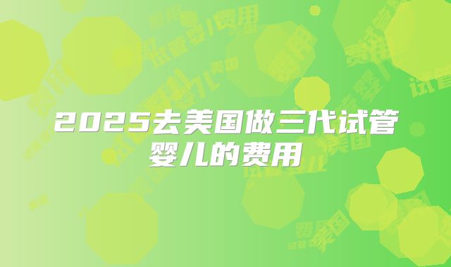 2025去美国做三代试管婴儿的费用