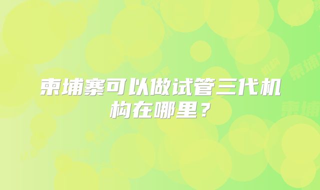 柬埔寨可以做试管三代机构在哪里？