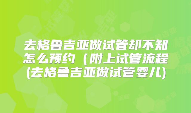 去格鲁吉亚做试管却不知怎么预约(附上试管流程(去格鲁吉亚做试管婴儿)