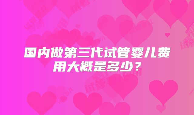 国内做第三代试管婴儿费用大概是多少?