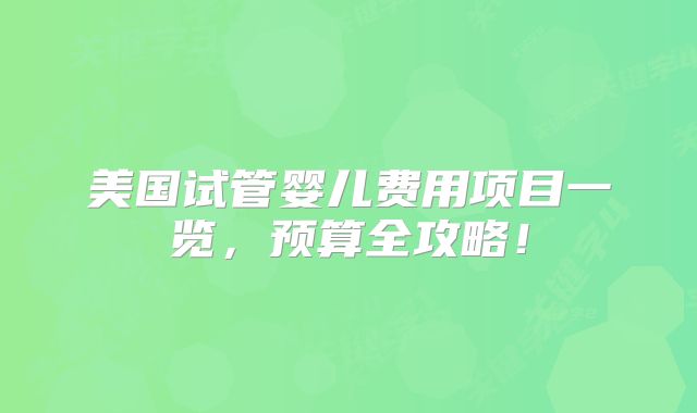 美国试管婴儿费用项目一览，预算全攻略！