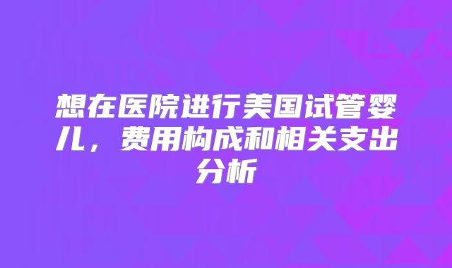 想在医院进行美国试管婴儿，费用构成和相关支出分析