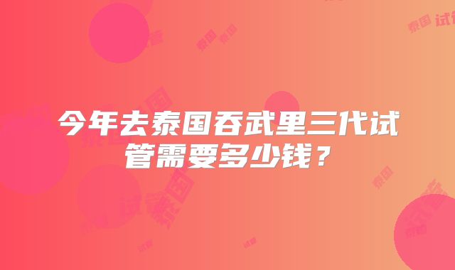 今年去泰国吞武里三代试管需要多少钱？