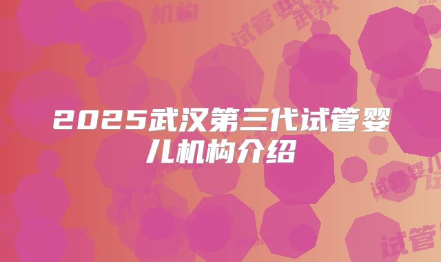2025武汉第三代试管婴儿机构介绍