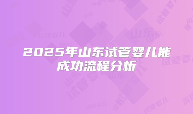 2025年山东试管婴儿能成功流程分析