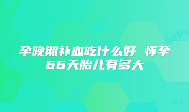 孕晚期补血吃什么好 怀孕66天胎儿有多大